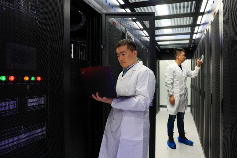 庐阳区网络技术服务